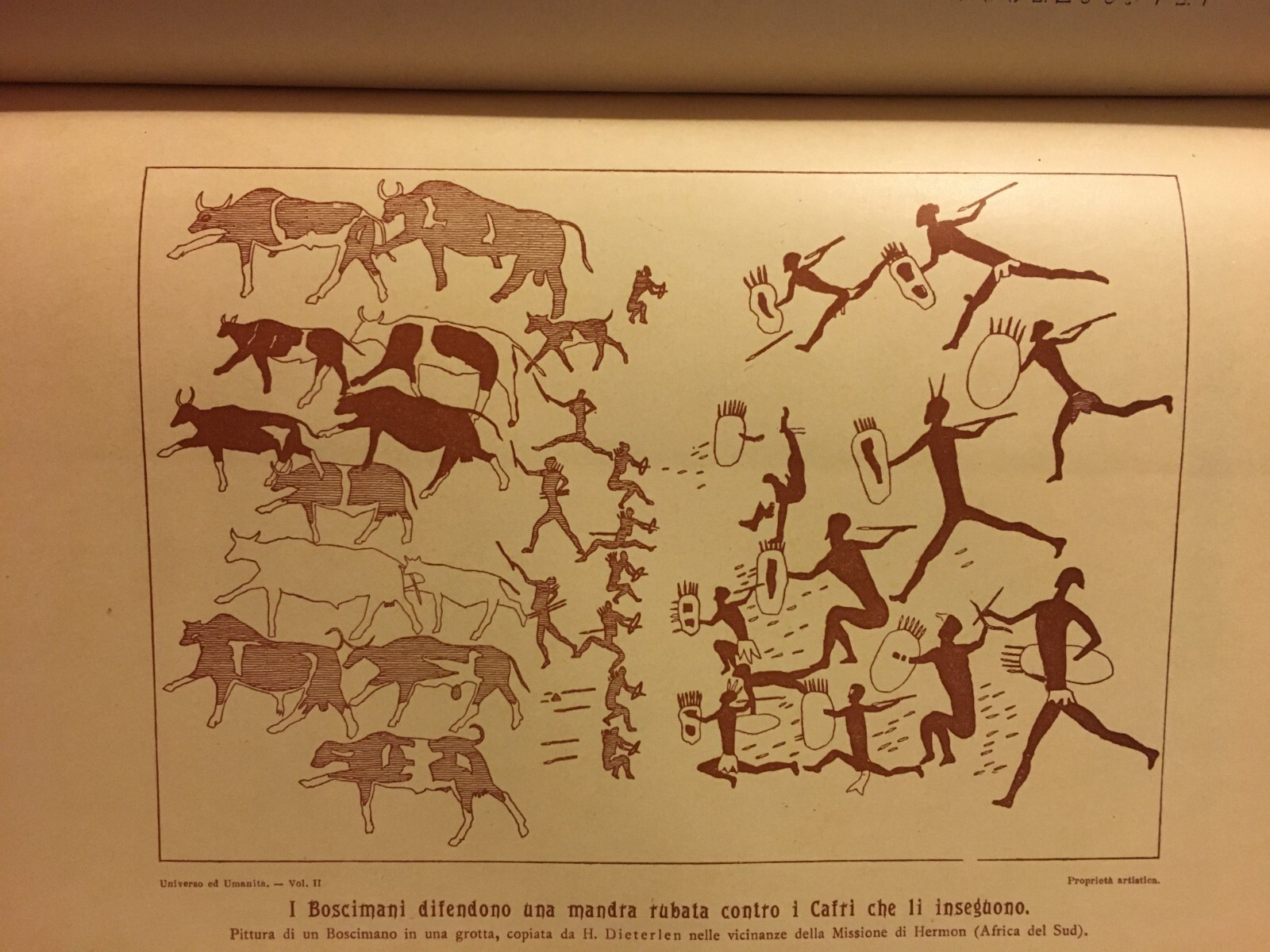 Paleontologia, Antropologia, Fossili, Geologia, Botanica E Zoologia Illustrata