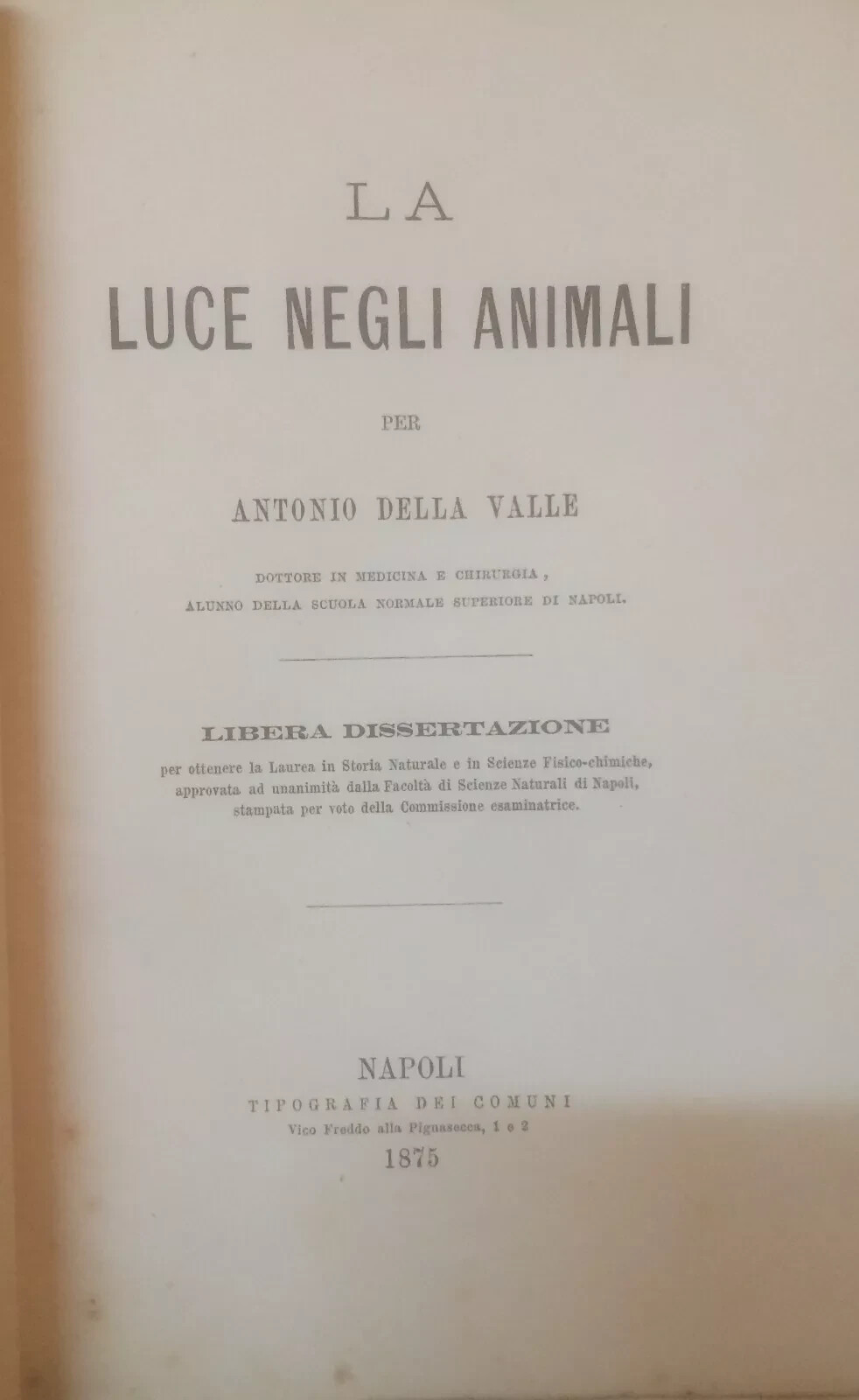 Storia Naturale, Zoologia: La Luce Negli Animali, Lucciole E Fosforescenza (Antonio Della Valle)