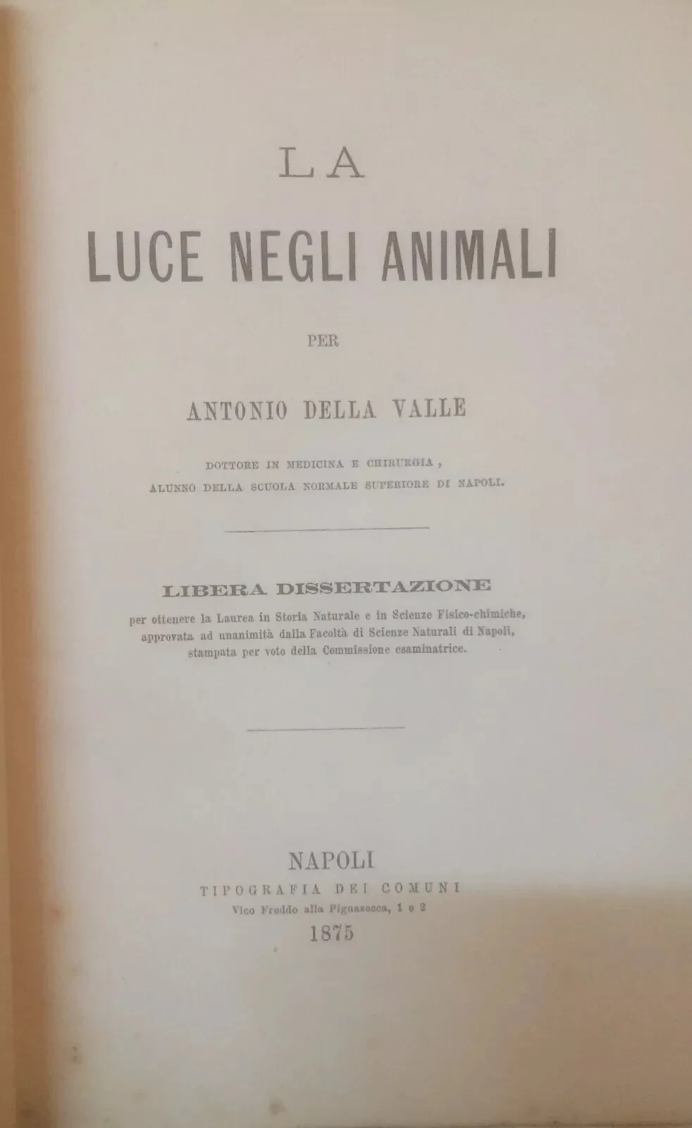 Natural History, Zoology: Light in Animals, Fireflies and Phosphorescence (Antonio Della Valle)