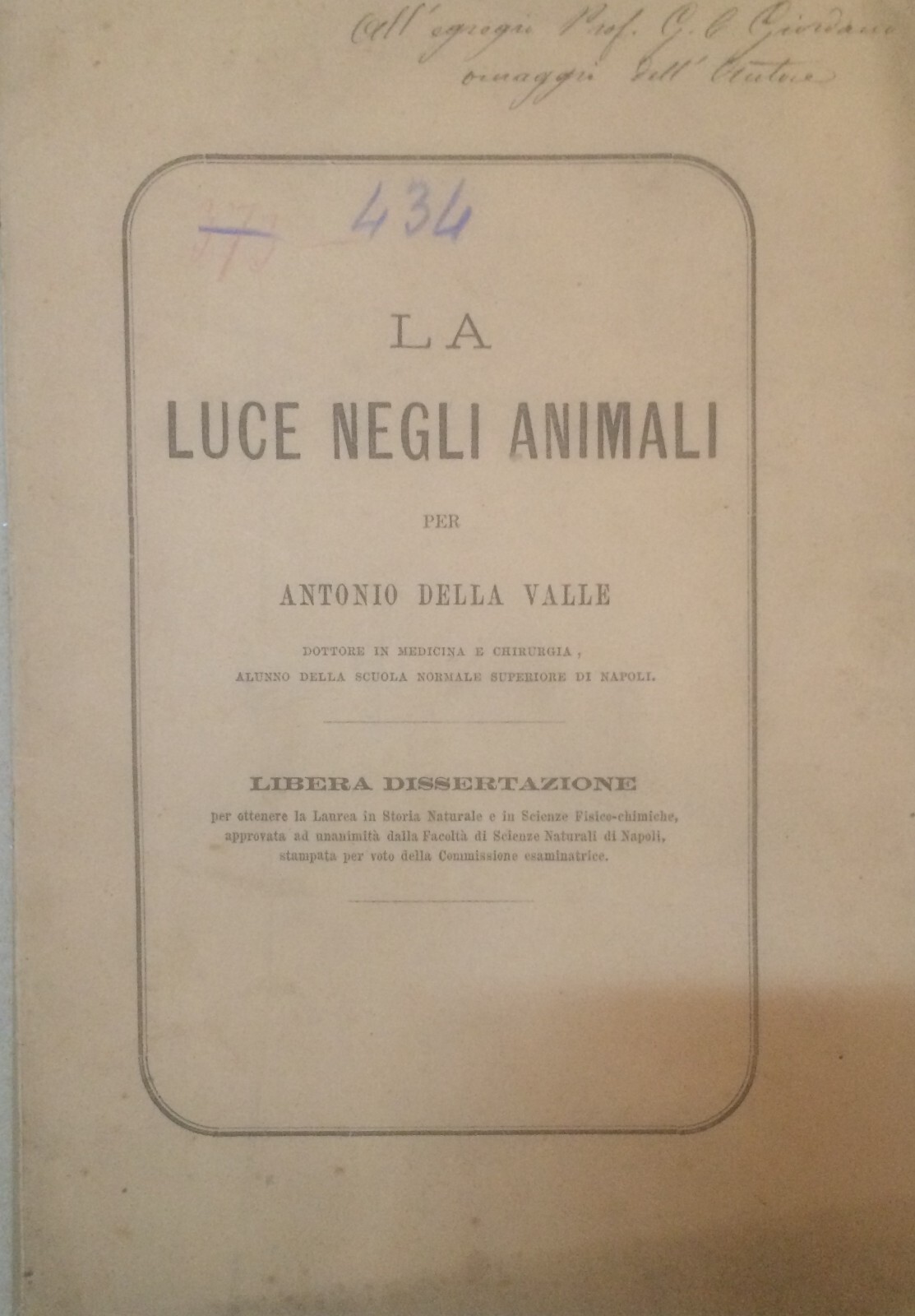 Storia Naturale, Zoologia: La Luce Negli Animali, Lucciole E Fosforescenza (Antonio Della Valle)