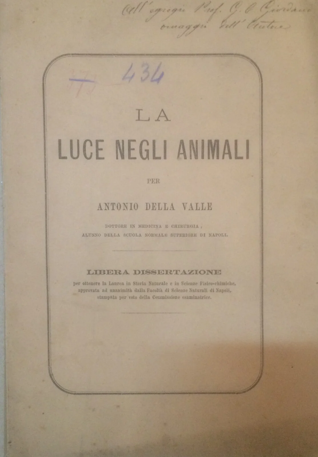 Natural History, Zoology: Light in Animals, Fireflies and Phosphorescence (Antonio Della Valle)