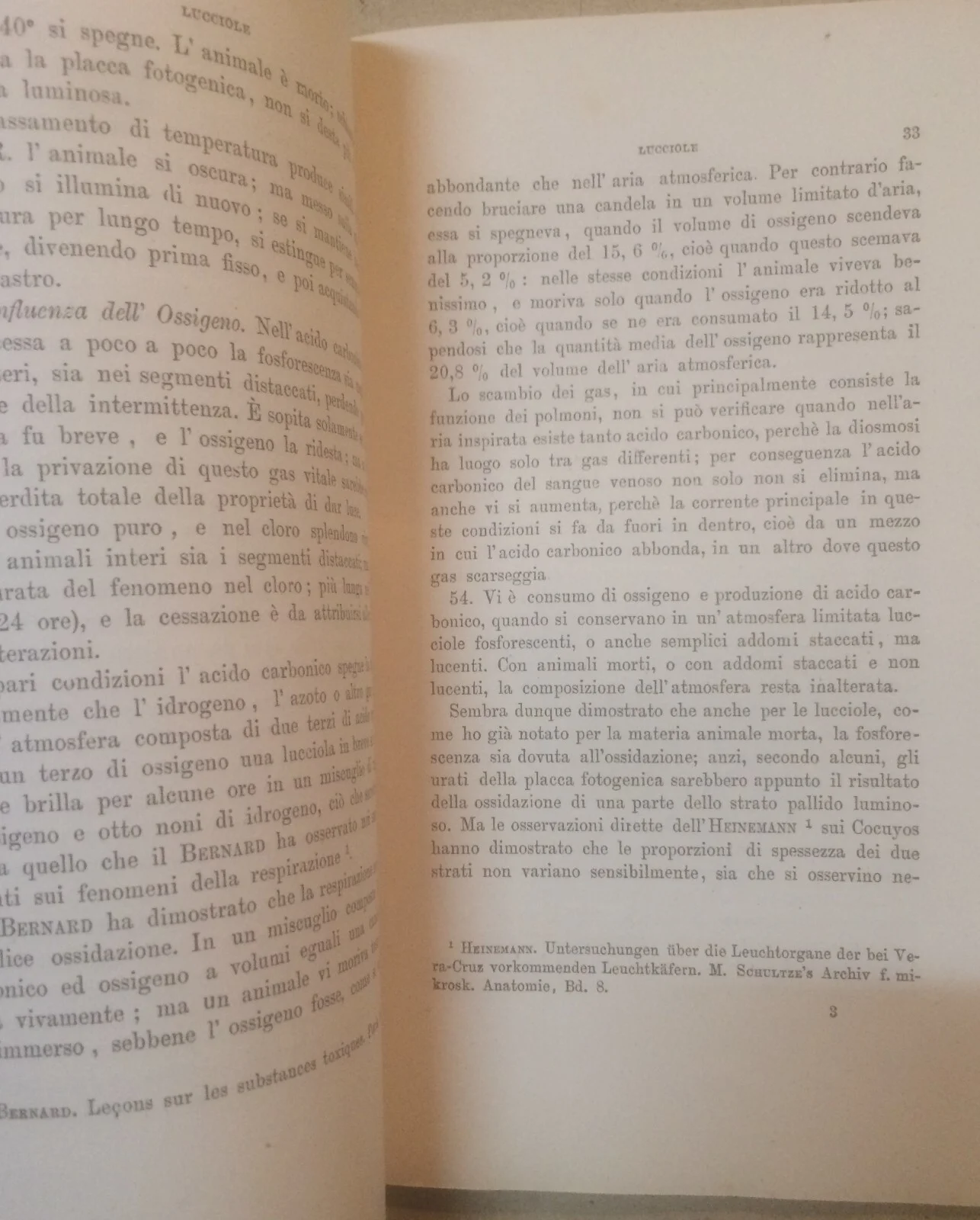 Natural History, Zoology: Light in Animals, Fireflies and Phosphorescence (Antonio Della Valle)