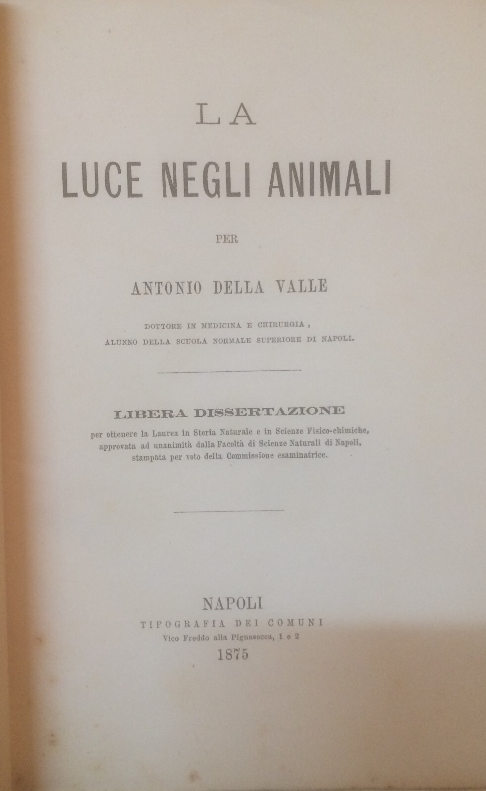 Storia Naturale, Zoologia: La Luce Negli Animali, Lucciole E Fosforescenza (Antonio Della Valle)