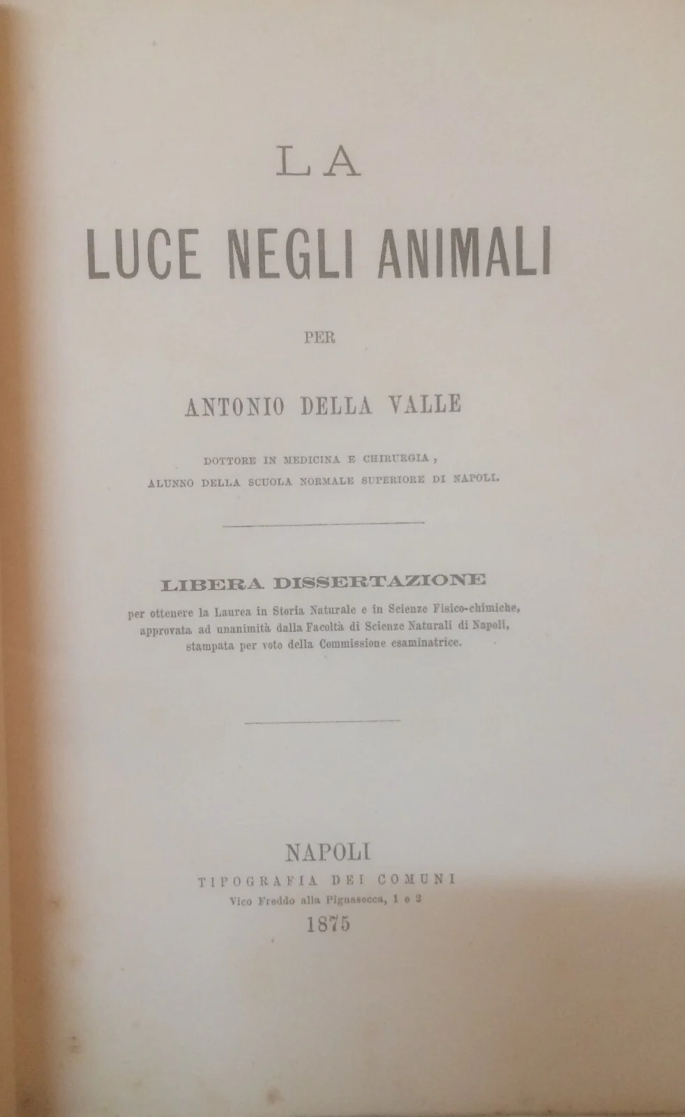 Natural History, Zoology: Light in Animals, Fireflies and Phosphorescence (Antonio Della Valle)