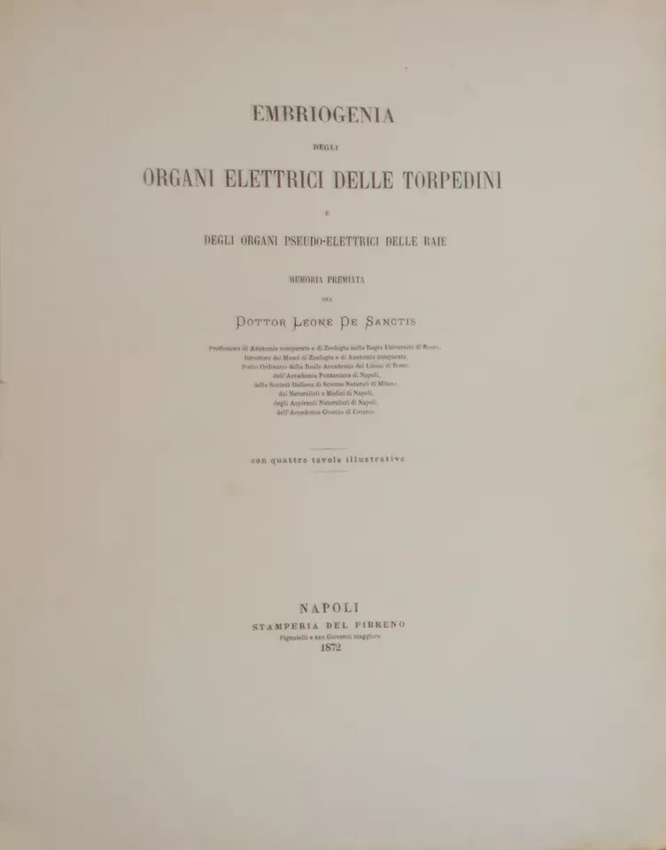 Leone De Sanctis   Embriogenia Degli Organi Elettrici Delle Torpedini, 1872
