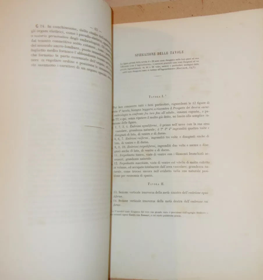 Leone De Sanctis   Embriogenia Degli Organi Elettrici Delle Torpedini, 1872