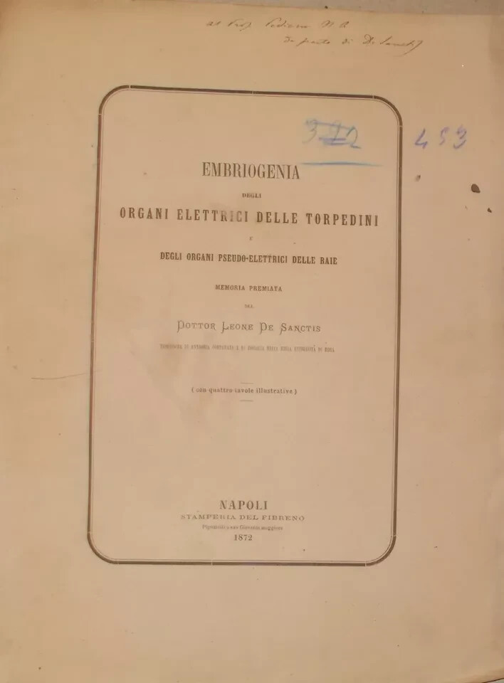 Leone De Sanctis   Embriogenia Degli Organi Elettrici Delle Torpedini, 1872