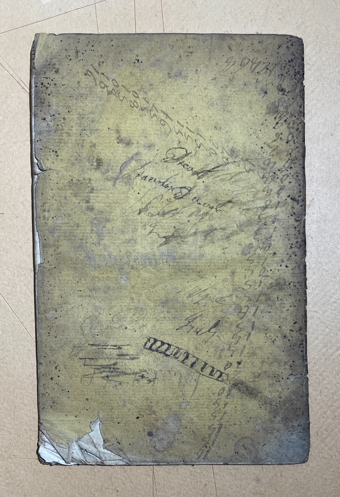 Medicina: Malattie Steniche, Diatesi, Roselli. Antica Edizione Napoletana, 1823