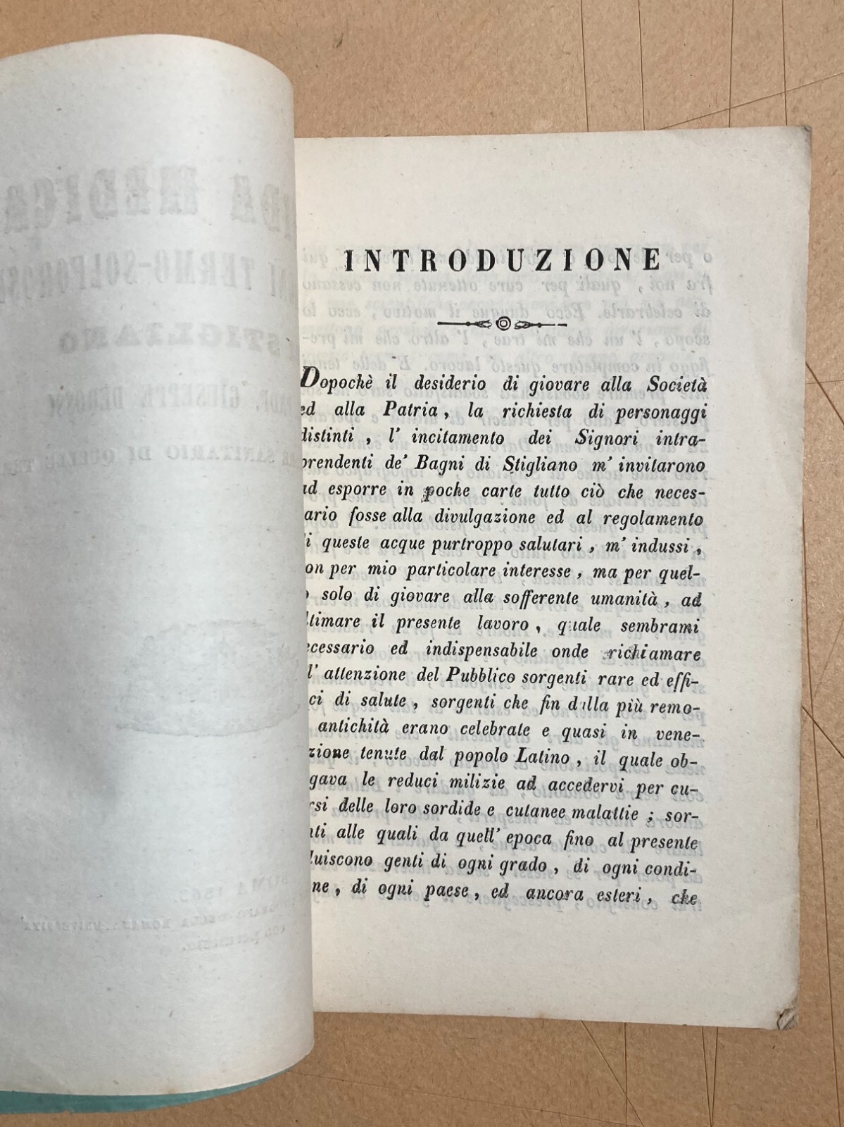 Guida Medica Ai Bagni Di Stigliano (1863)
