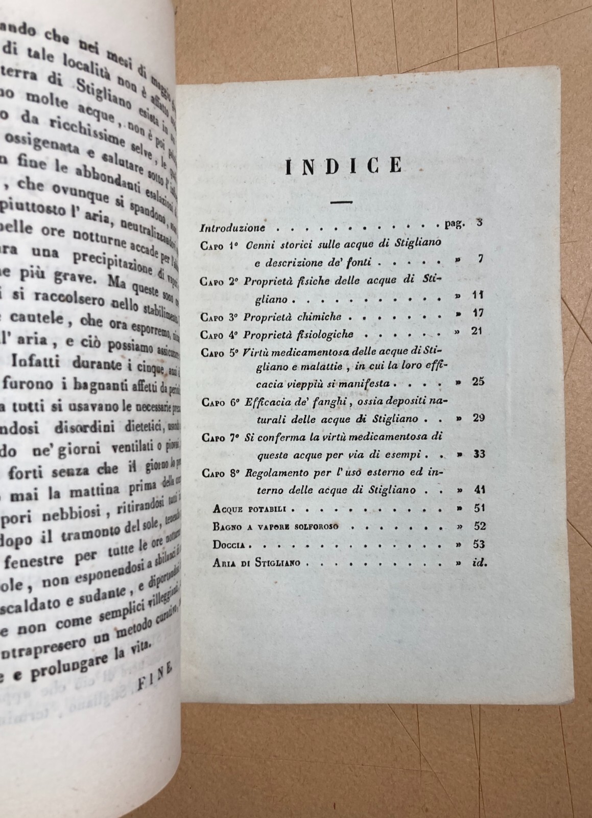 Guida Medica Ai Bagni Di Stigliano (1863)
