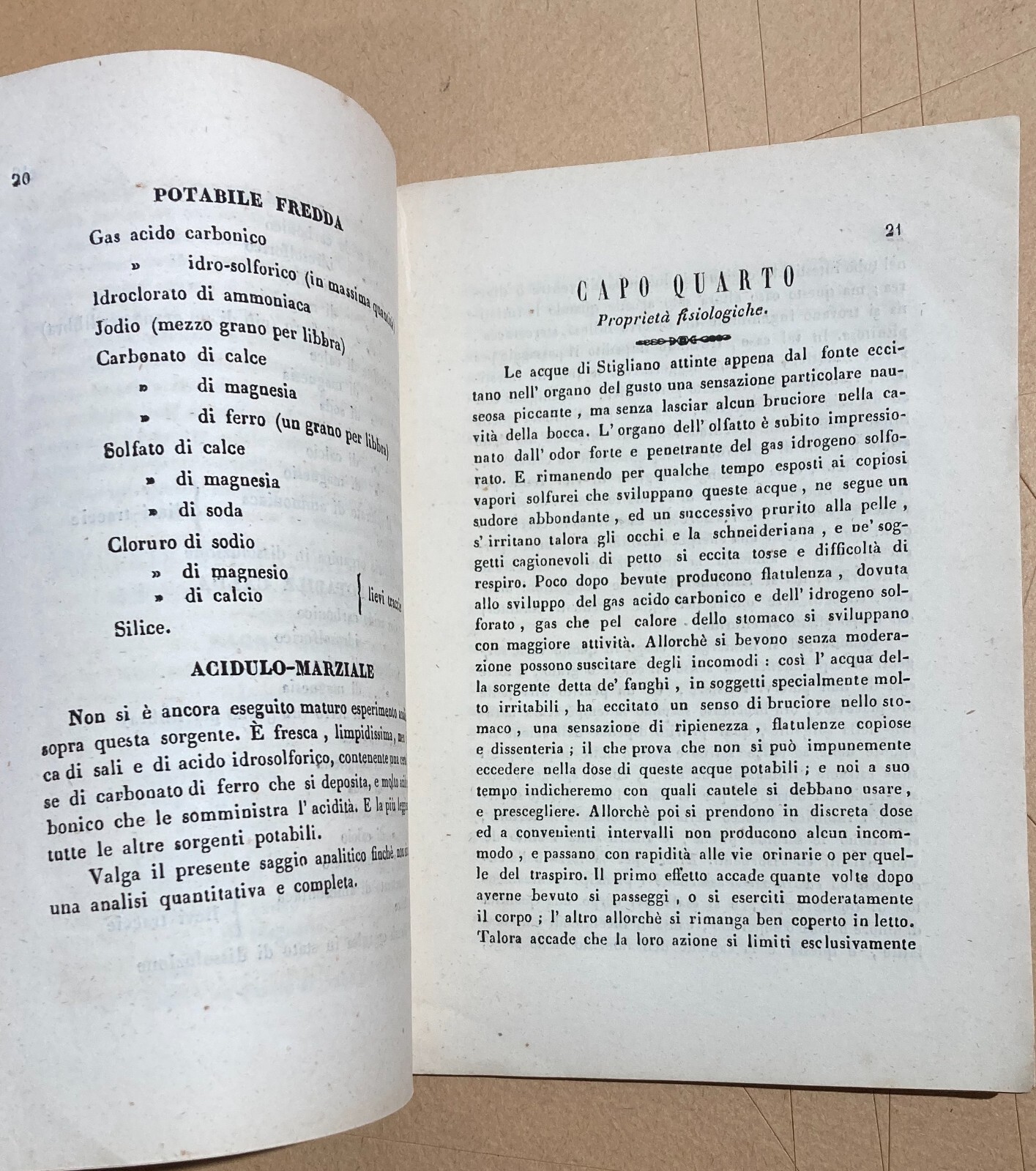 Guida Medica Ai Bagni Di Stigliano (1863)