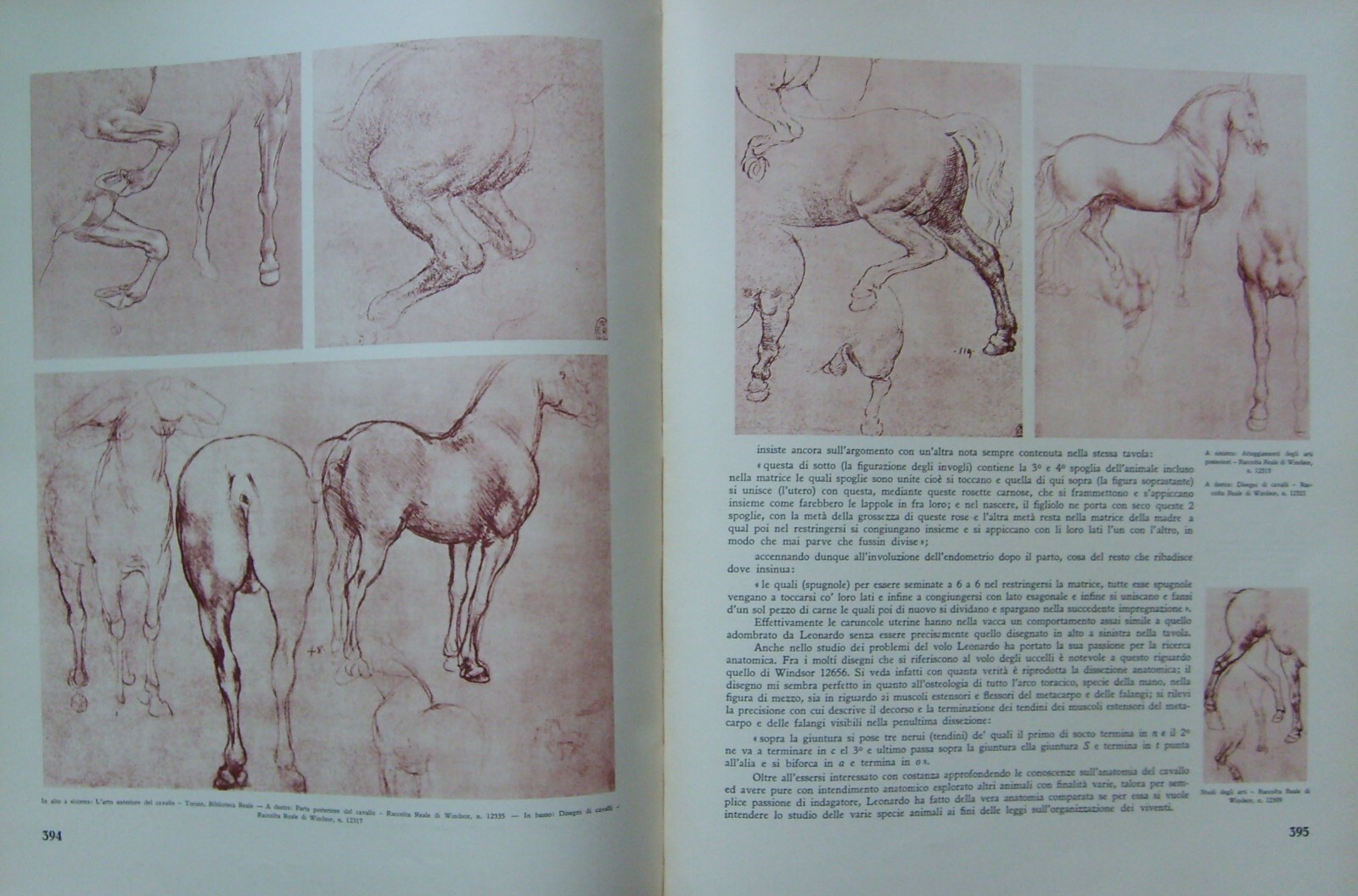 Leonardo Da Vinci: Arte, Pittura, Scienze, Ottica. Monumentale Opera Illustrata, 1940