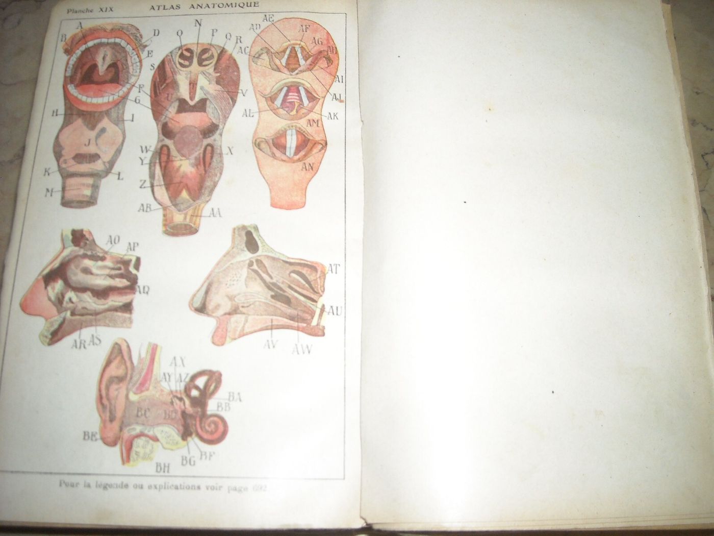 Medicina Vegetale, Farmacia, Terapie E Botanica: Livre De Santé Et d'Hygiène Di A. Narodetzki