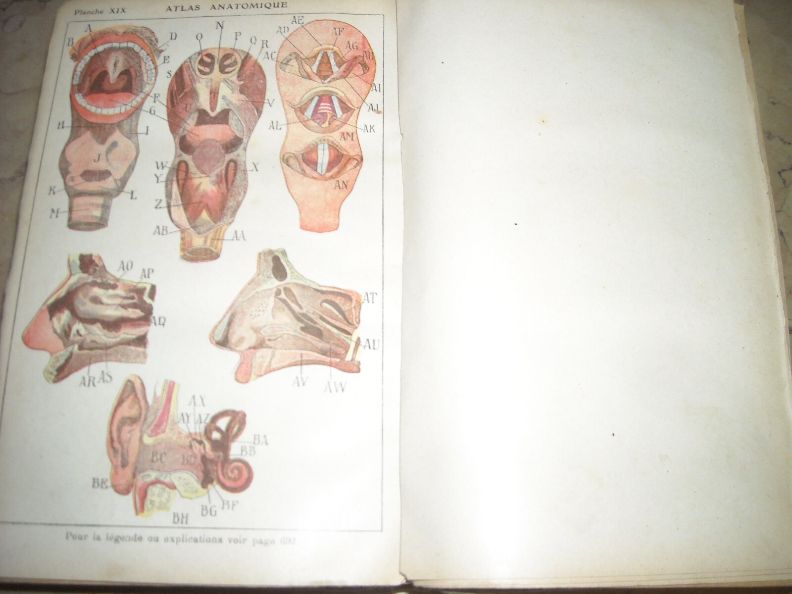 Medicina Vegetale, Farmacia, Terapie E Botanica: Livre De Santé Et d'Hygiène Di A. Narodetzki