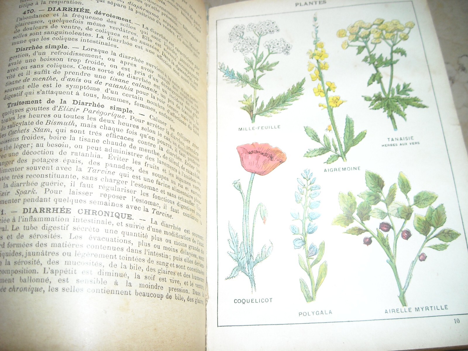 Medicina Vegetale, Farmacia, Terapie E Botanica: Livre De Santé Et d'Hygiène Di A. Narodetzki