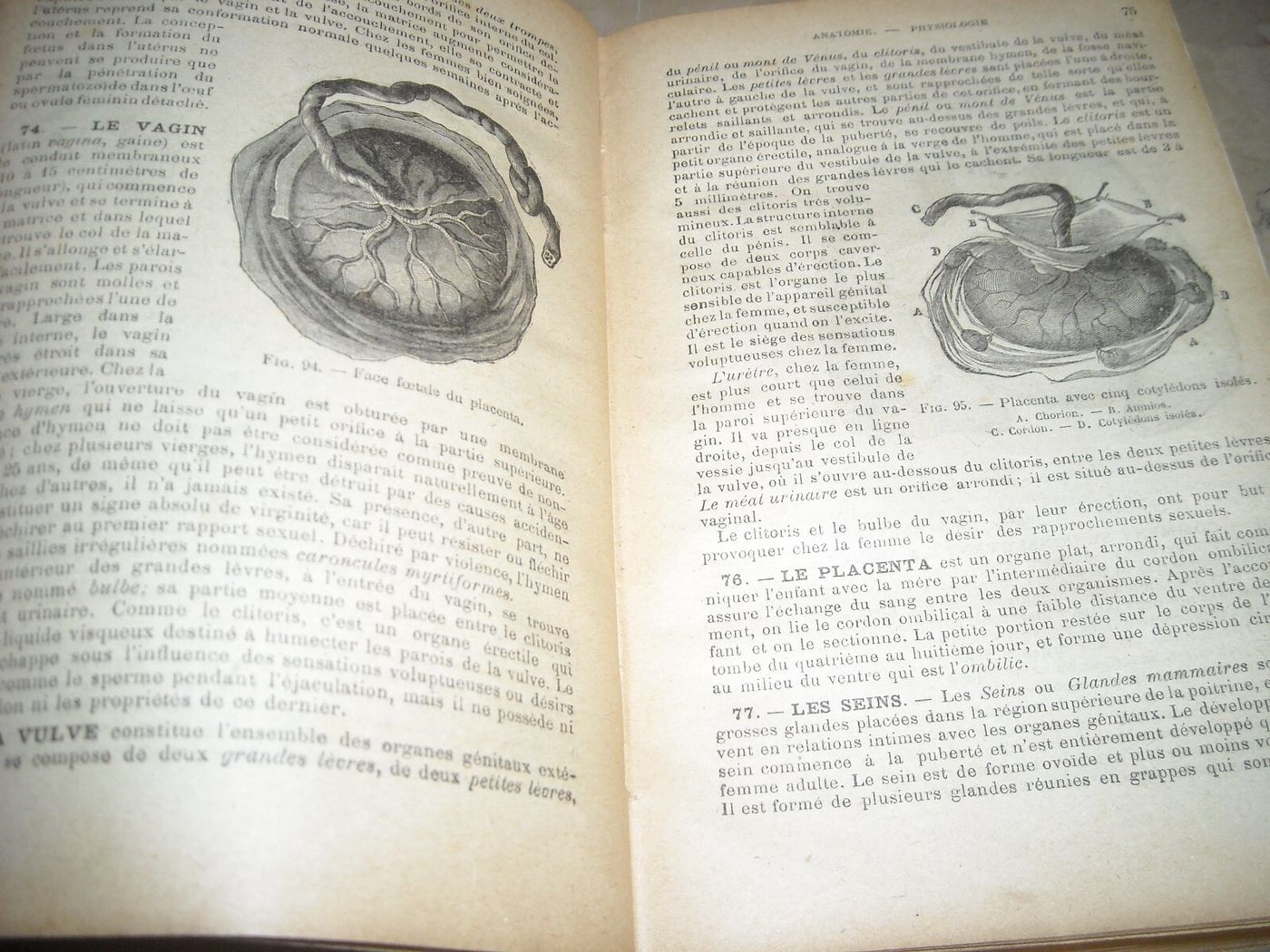 Medicina Vegetale, Farmacia, Terapie E Botanica: Livre De Santé Et d'Hygiène Di A. Narodetzki
