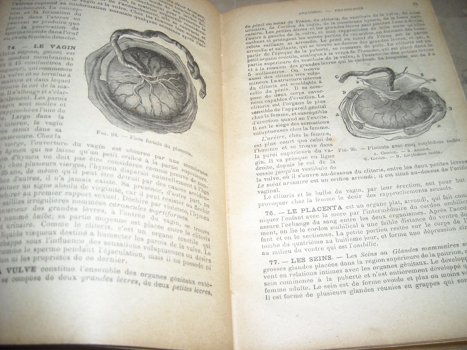 Medicina Vegetale, Farmacia, Terapie E Botanica: Livre De Santé Et d'Hygiène Di A. Narodetzki