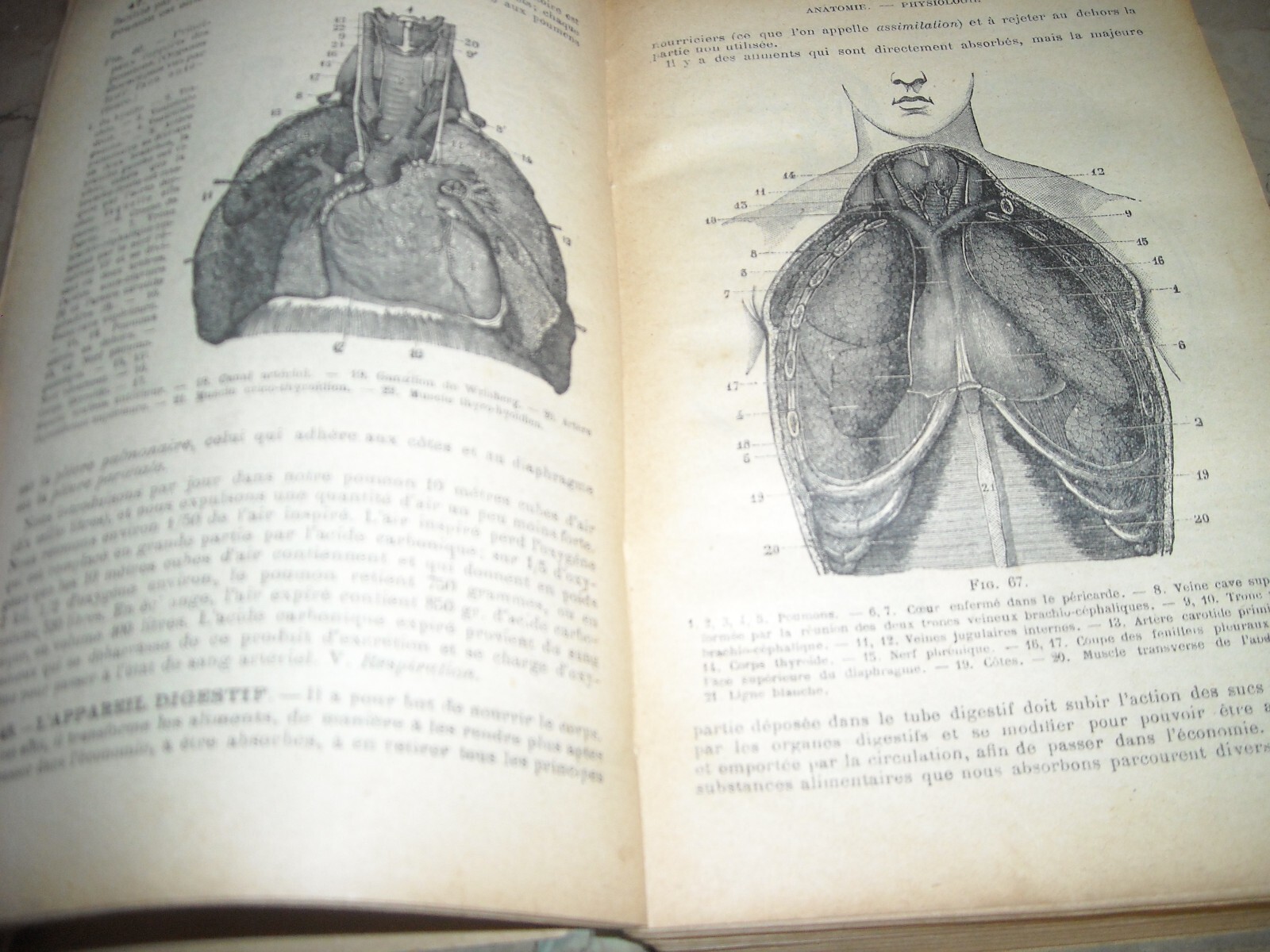 Medicina Vegetale, Farmacia, Terapie E Botanica: Livre De Santé Et d'Hygiène Di A. Narodetzki