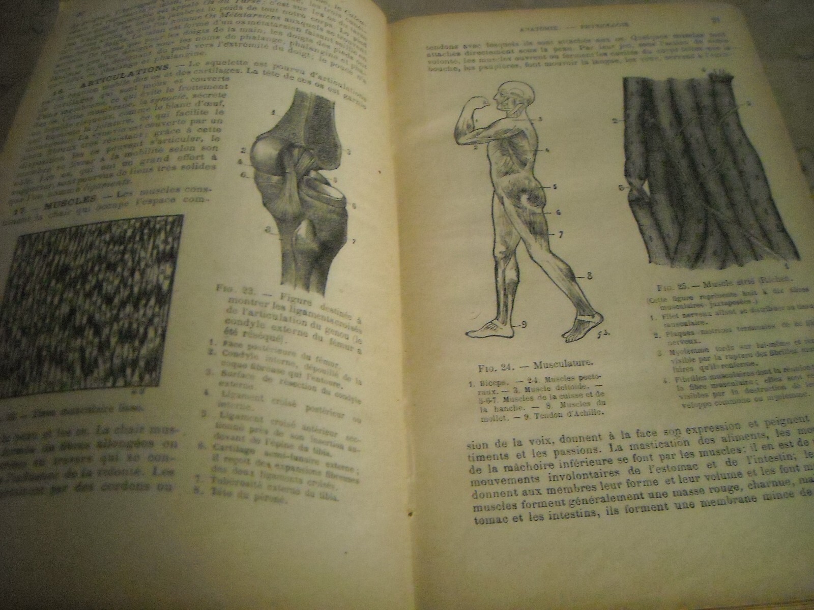 Medicina Vegetale, Farmacia, Terapie E Botanica: Livre De Santé Et d'Hygiène Di A. Narodetzki