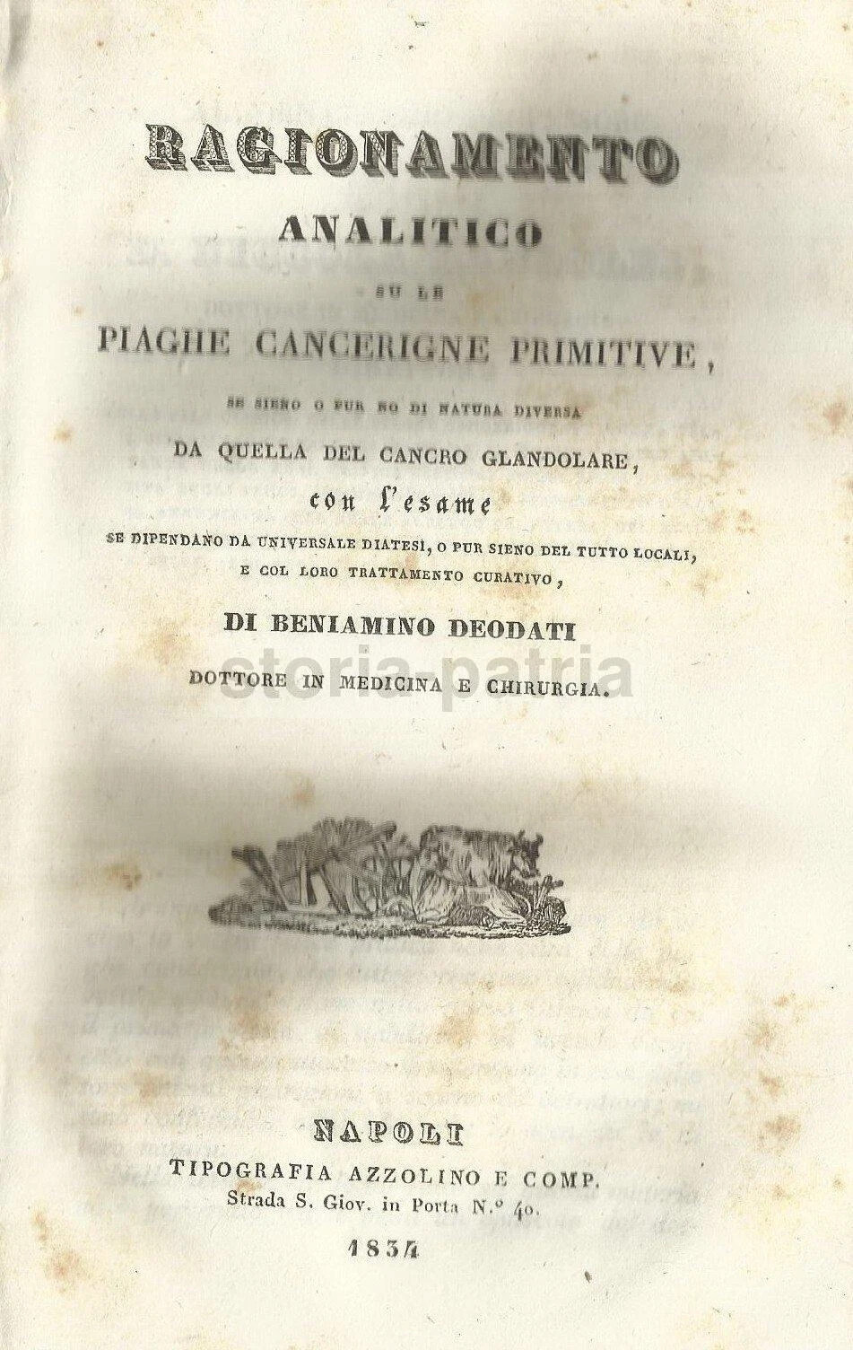 Ragionamento Analitico Su Le Piaghe Cancerigne Primitive   Beniamino Deodati (1834)