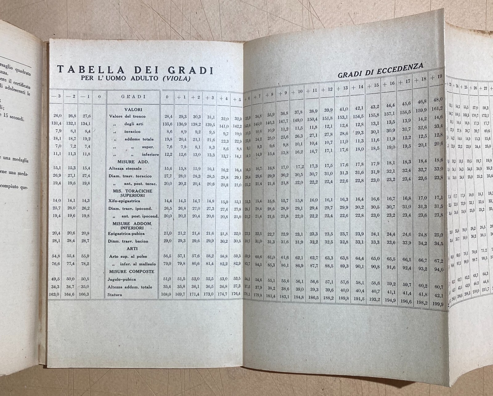 Antropologia, Fascismo, Mancinismo, Colore Del Corpo, Forza Muscolare E Crescita, 1935