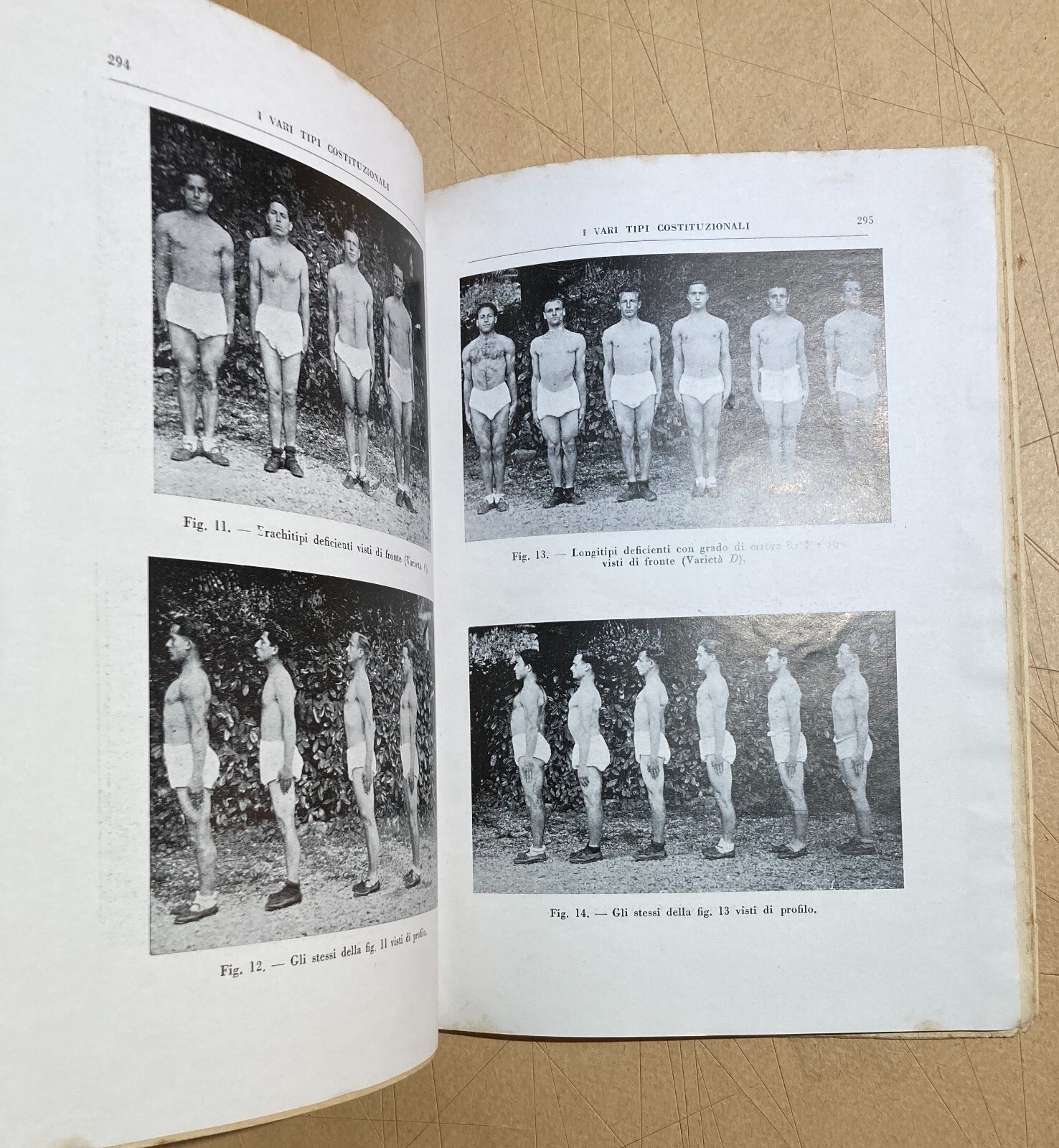 Antropologia, Fascismo, Mancinismo, Colore Del Corpo, Forza Muscolare E Crescita, 1935