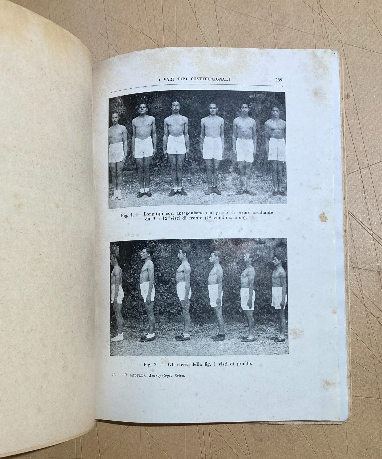 Antropologia, Fascismo, Mancinismo, Colore Del Corpo, Forza Muscolare E Crescita, 1935