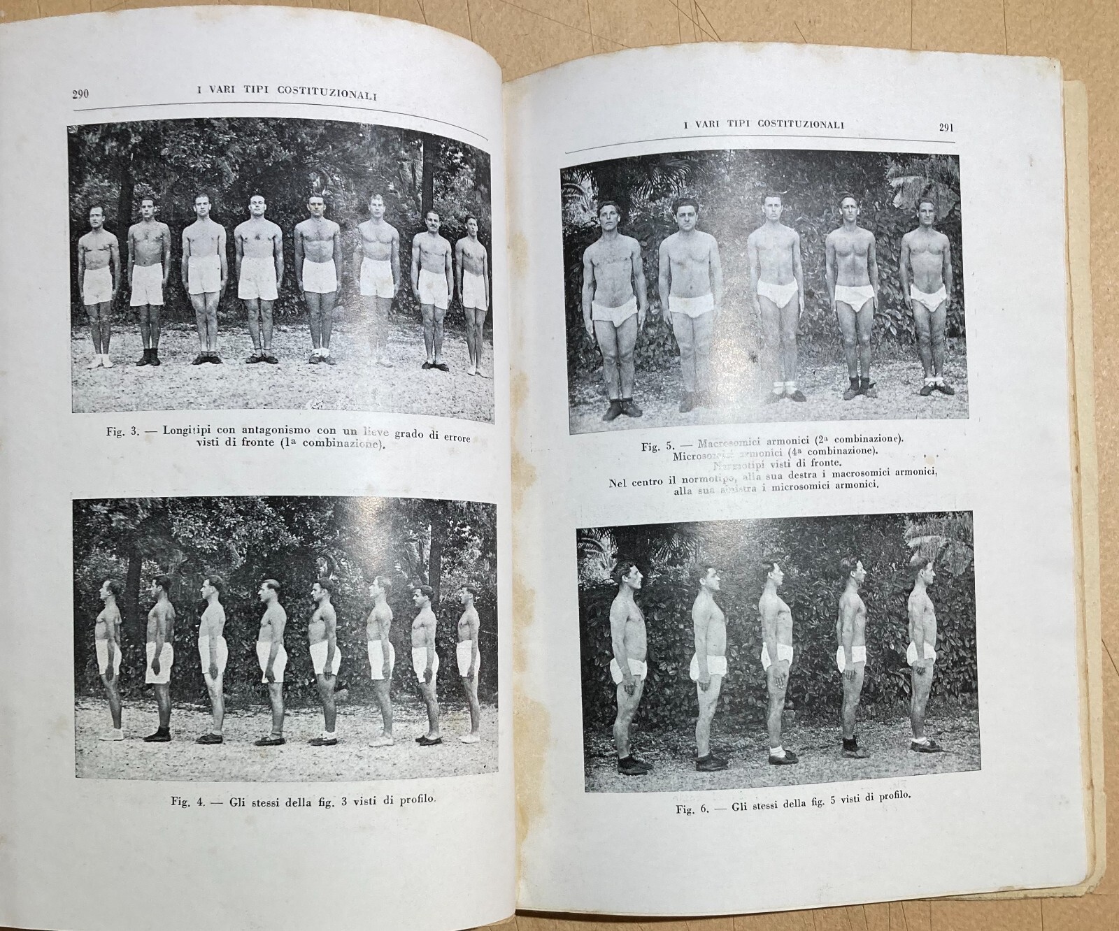 Antropologia, Fascismo, Mancinismo, Colore Del Corpo, Forza Muscolare E Crescita, 1935