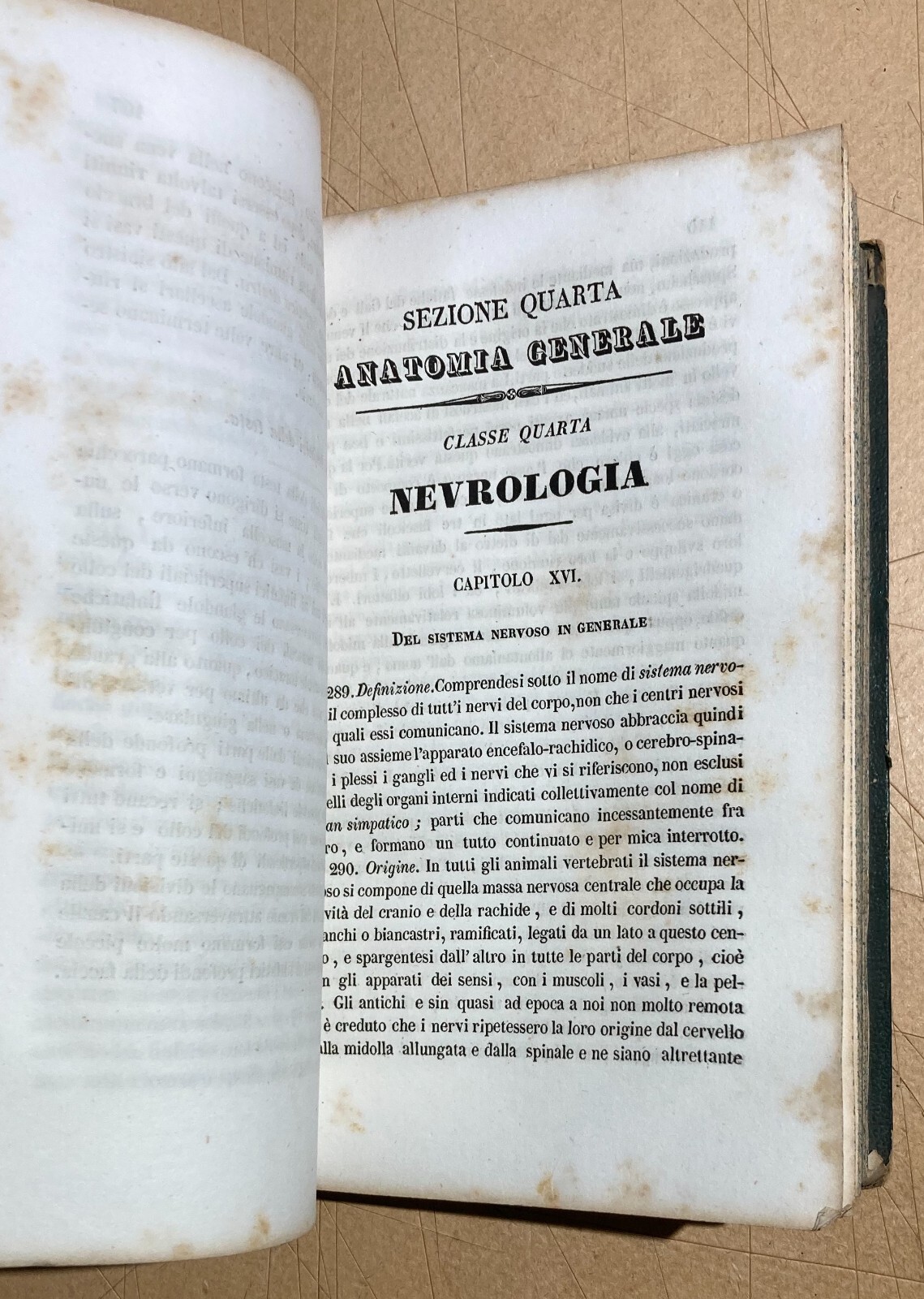 Riforma Di Anatomia Elementare   Giuseppe Piretti, 1843