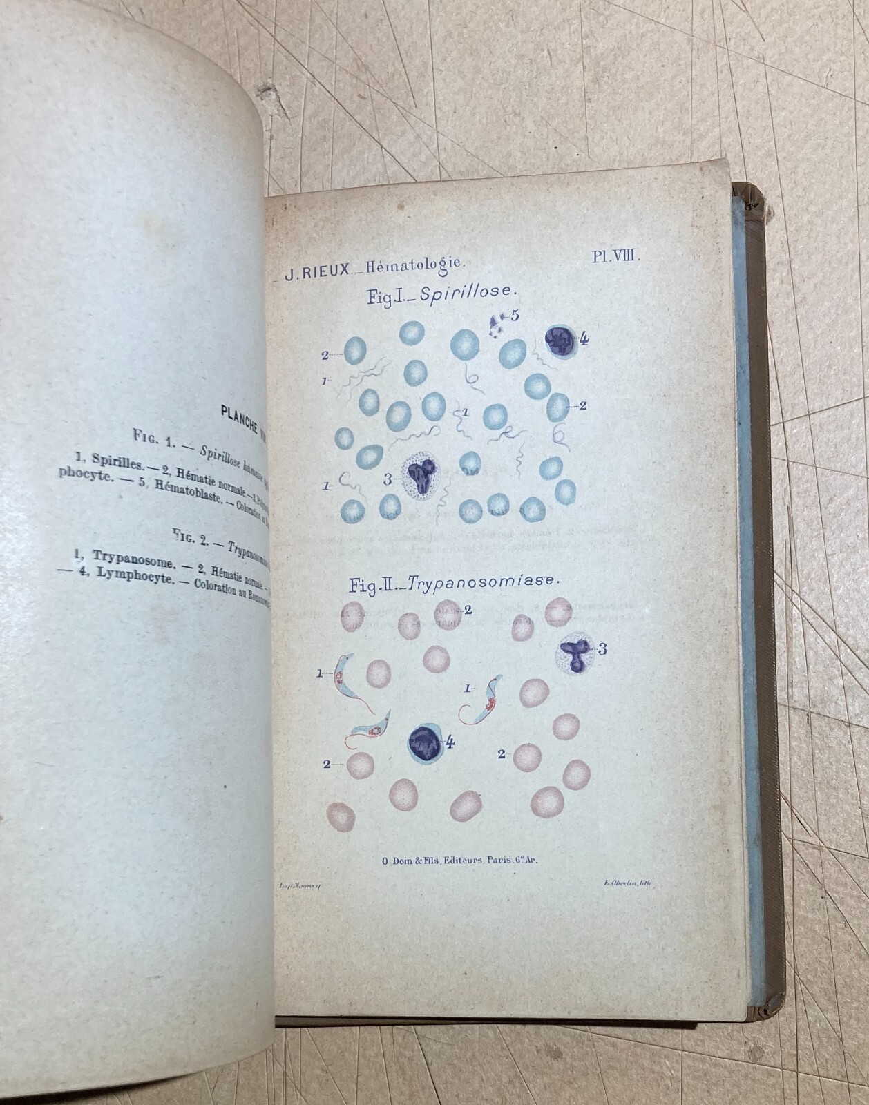 Medicina, Ematologia, Citologia, Chimica. Antica Edizione Francese. Rieux. Illustrata.