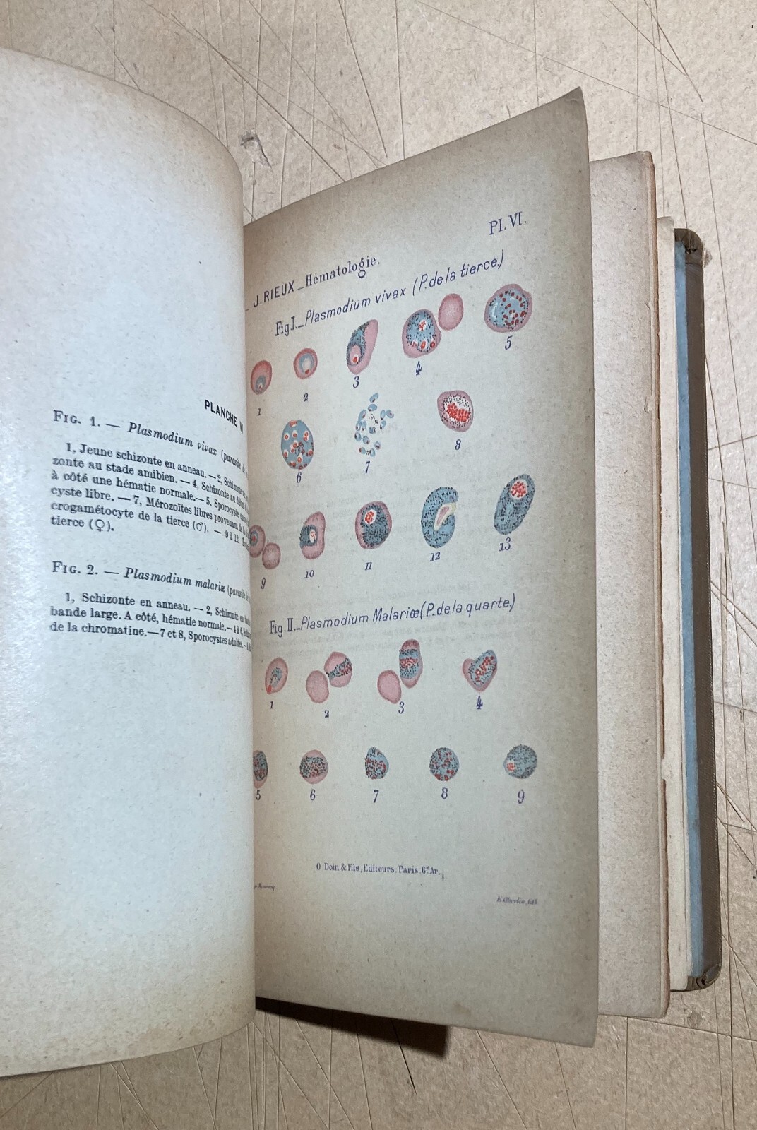 Medicina, Ematologia, Citologia, Chimica. Antica Edizione Francese. Rieux. Illustrata.