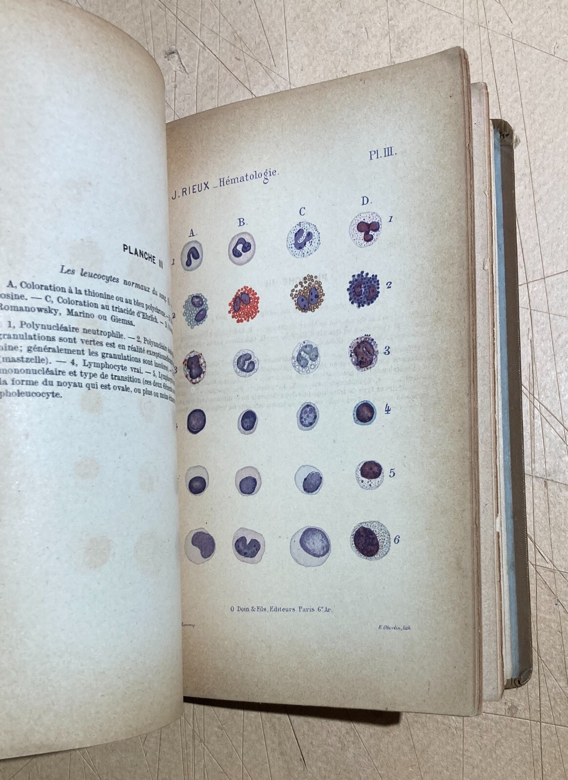 Medicina, Ematologia, Citologia, Chimica. Antica Edizione Francese. Rieux. Illustrata.