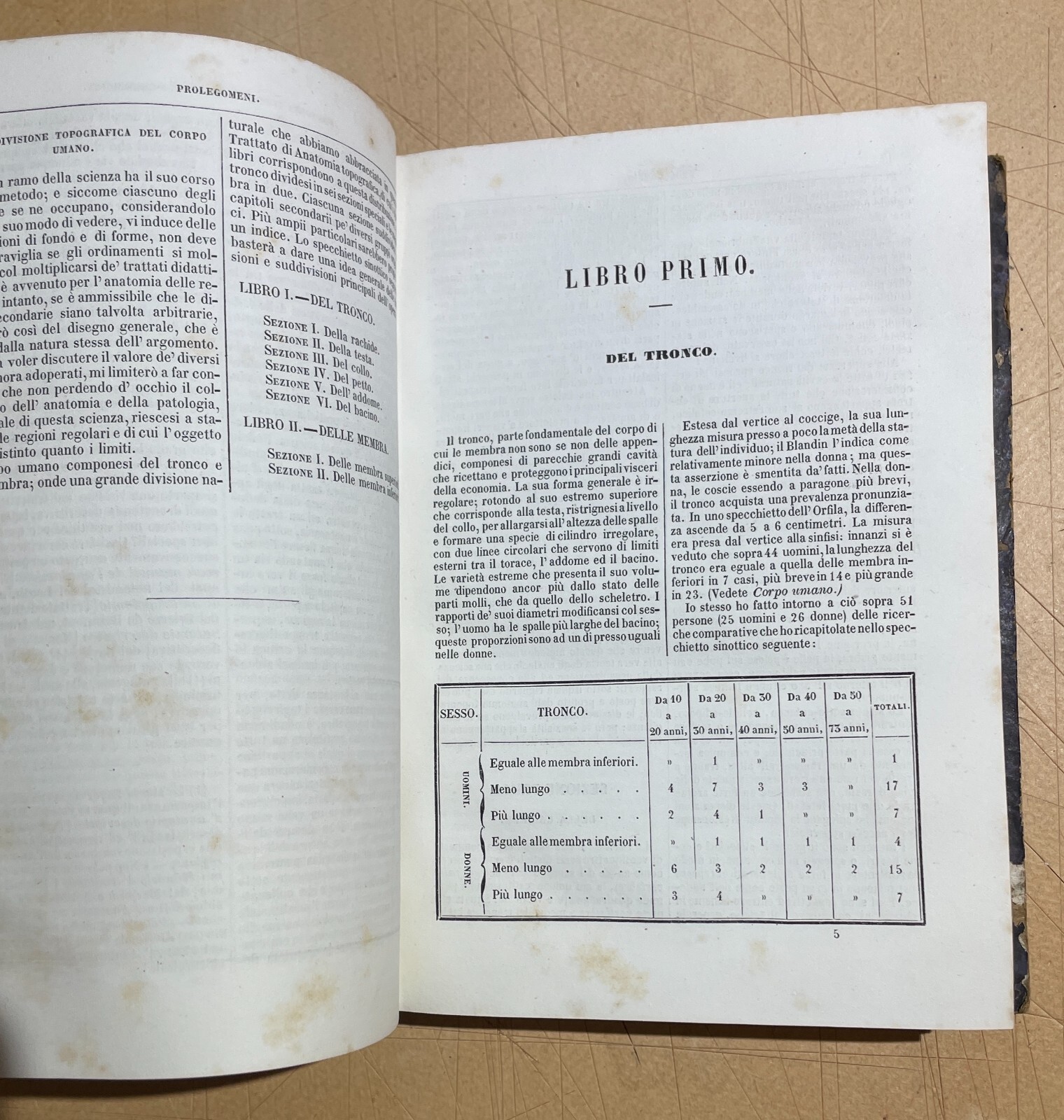 Medicina Topografica: Antico Trattato Di Petrequin E Alberti, Edizione Napoletana (1858)