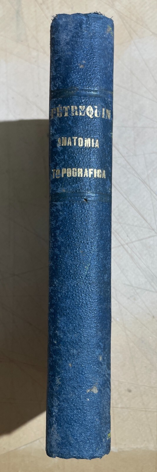 Medicina Topografica: Antico Trattato Di Petrequin E Alberti, Edizione Napoletana (1858)