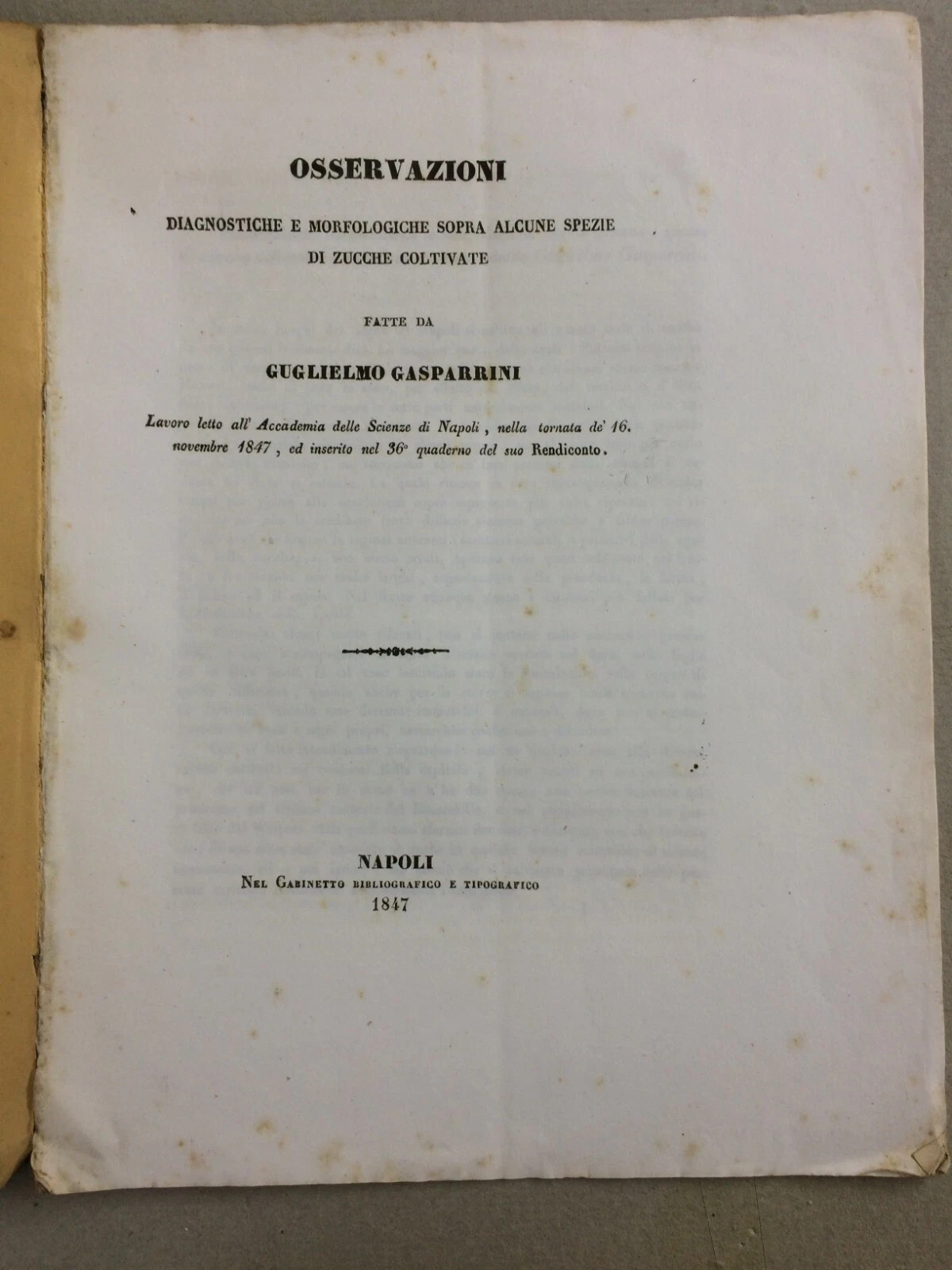 Scienze Naturali, Botanica, Ortaggi, Orticoltura, Zucca, Gasparrini, Napoli, 1847