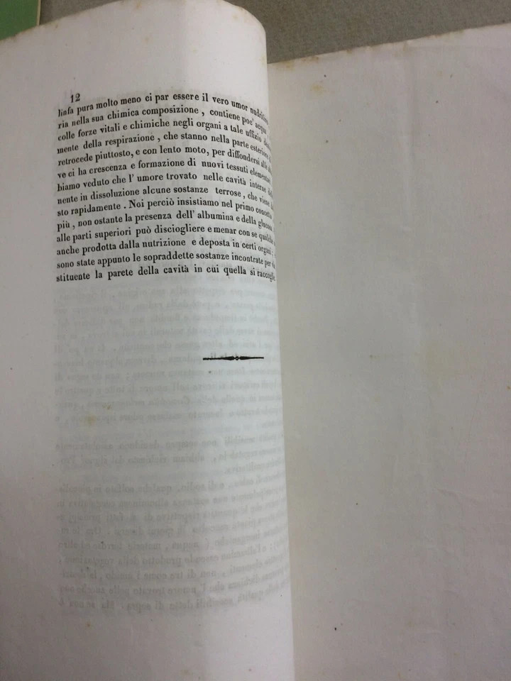 Scienze Naturali, Botanica, Ortaggi, Orticoltura, Zucca, Gasparrini, Napoli, 1847