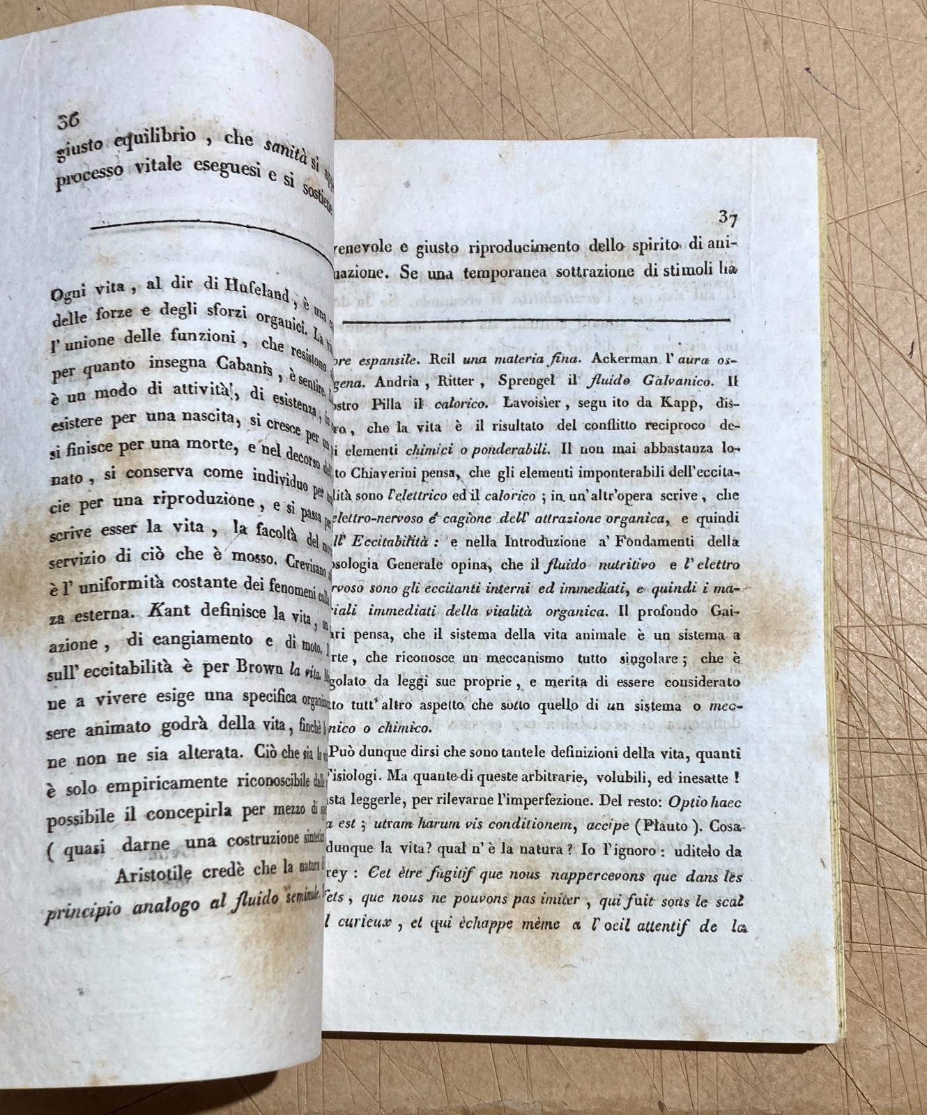 Medicina, Chirurgia E Lesioni Violente: Isernia, San Vincenzo Al Volturno, Giuseppe Martino, 1832