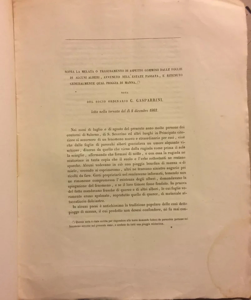 Scienze Naturali: Botanica, Melata, Pioggia Di Manna. Gasparrini, Cilento, Salerno (1863)