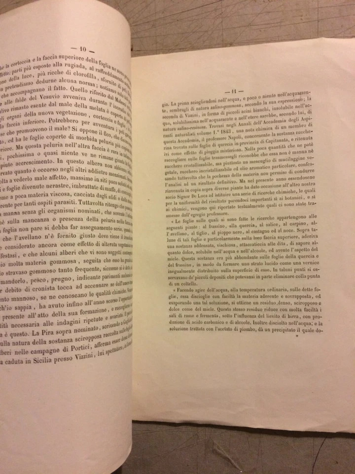 Scienze Naturali: Botanica, Melata, Pioggia Di Manna. Gasparrini, Cilento, Salerno (1863)