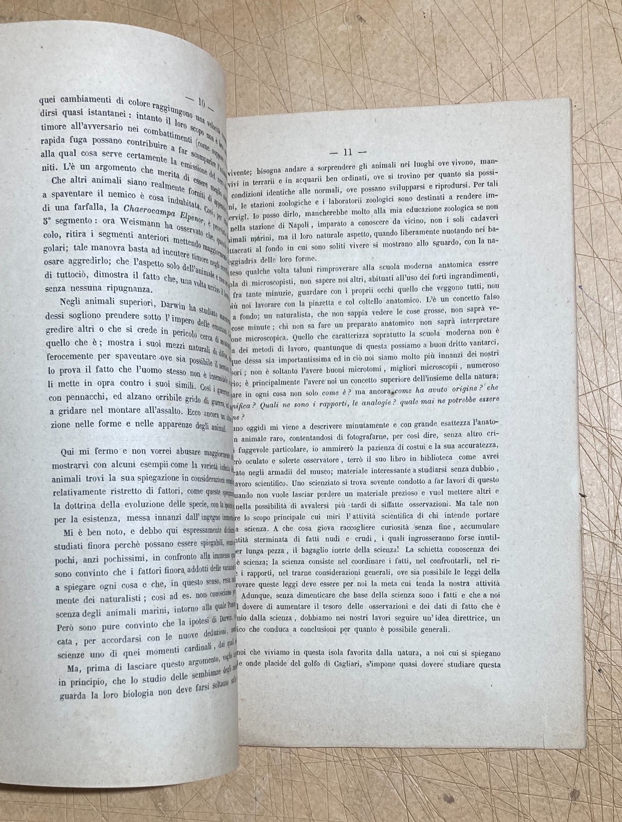 Carlo Emery, Le Sembianze Degli Animali. Zoologia E Darwinismo, Napoli, 1879