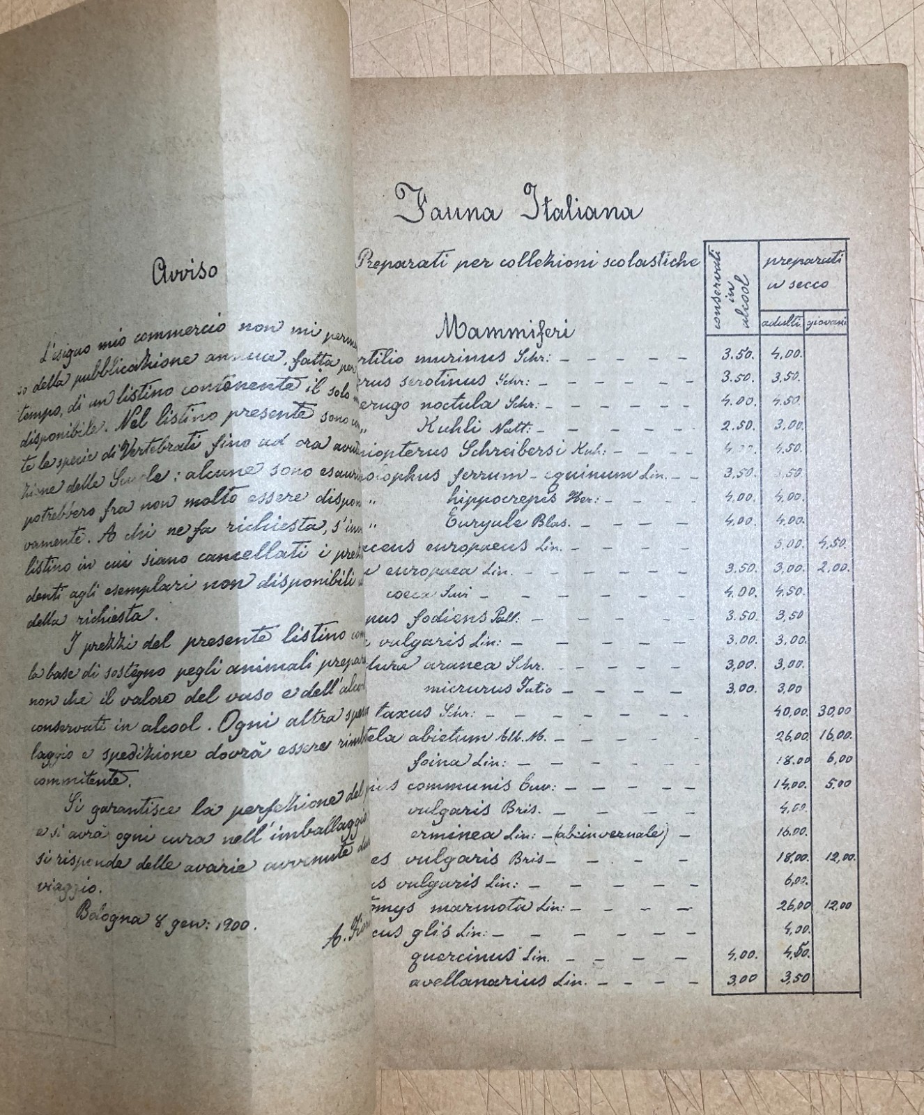 Bologna   Storia Naturale   Catalogo Vertebrati   Prof. Fiori   1900