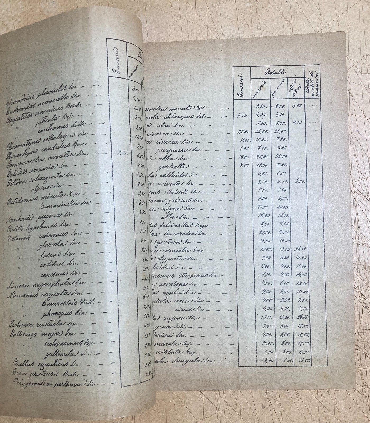 Bologna   Storia Naturale   Catalogo Vertebrati   Prof. Fiori   1900