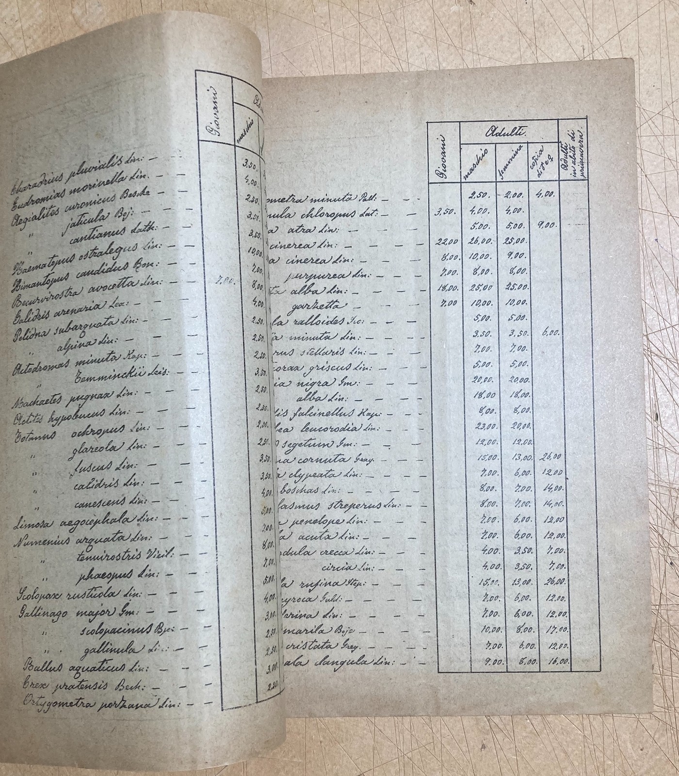 Bologna   Storia Naturale   Catalogo Vertebrati   Prof. Fiori   1900