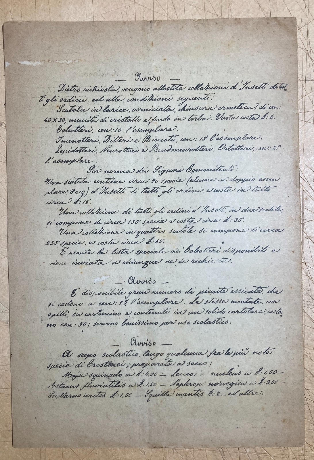 Bologna   Storia Naturale   Catalogo Vertebrati   Prof. Fiori   1900