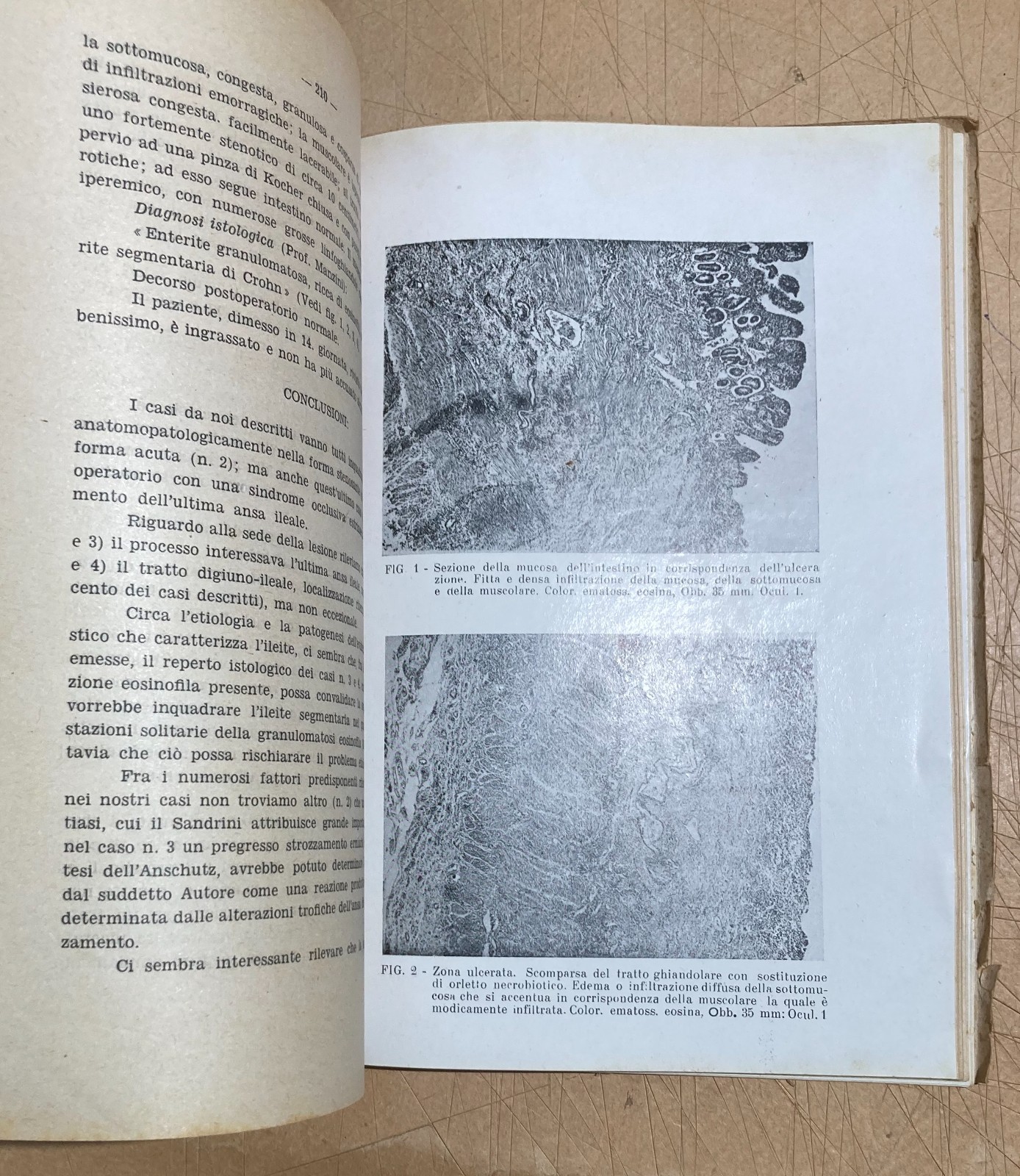 Abruzzo, Chieti: Atti Del III Convegno Medico (1951)