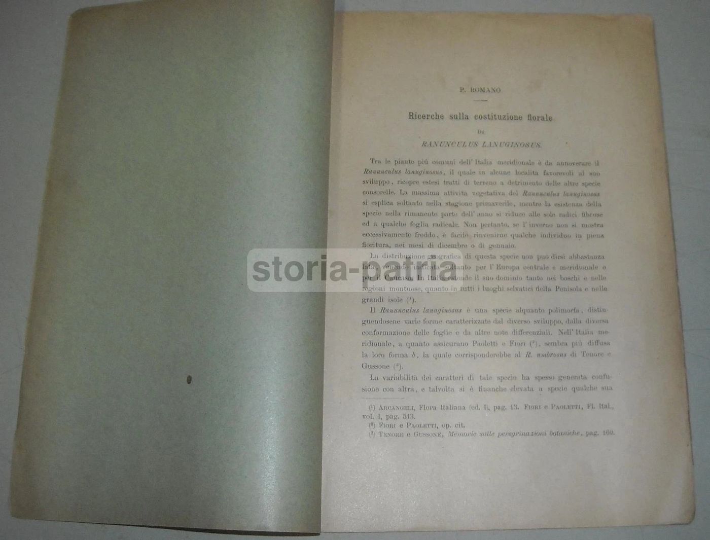 Agraria, Botanica: Ranunculus Lanuginosus   Pasquale Romano, Calabria, Antica Edizione