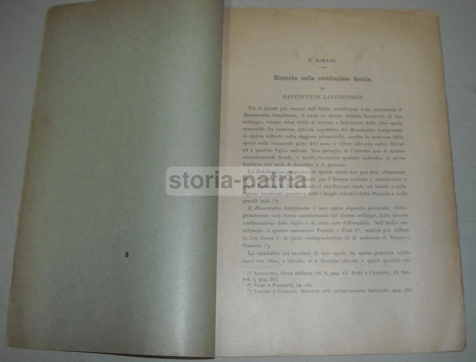 Agraria, Botanica: Ranunculus Lanuginosus Pasquale Romano, Calabria, Antica Edizione