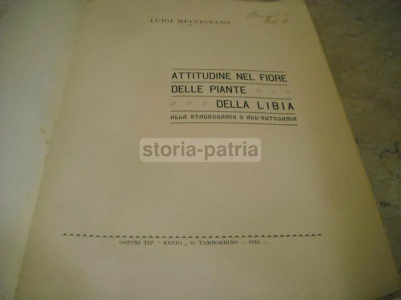 Salento, Ostuni, Africa, Libia: Botanica, Staurogamia E Autogamia   Melpignano, Solari, 1915