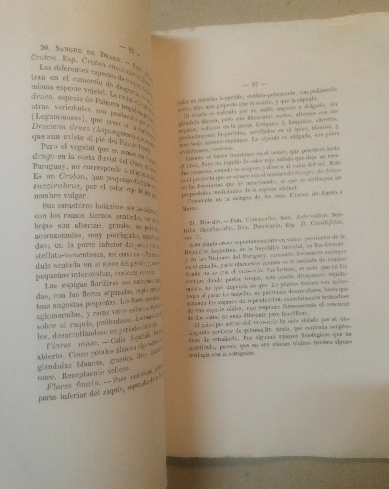 Medicina, Erboristeria E Farmacia: Botanica Medica Argentina Di Domingo Parodi (1881)