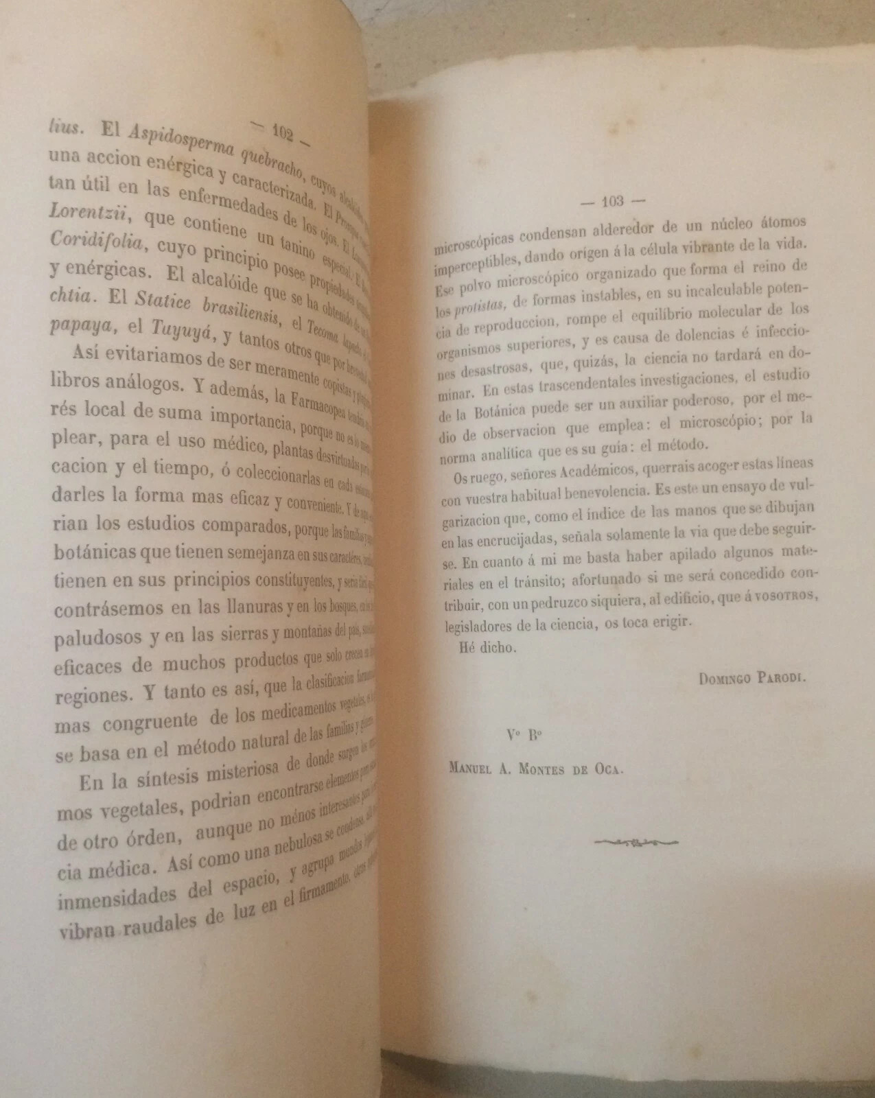 Medicina, Erboristeria E Farmacia: Botanica Medica Argentina Di Domingo Parodi (1881)